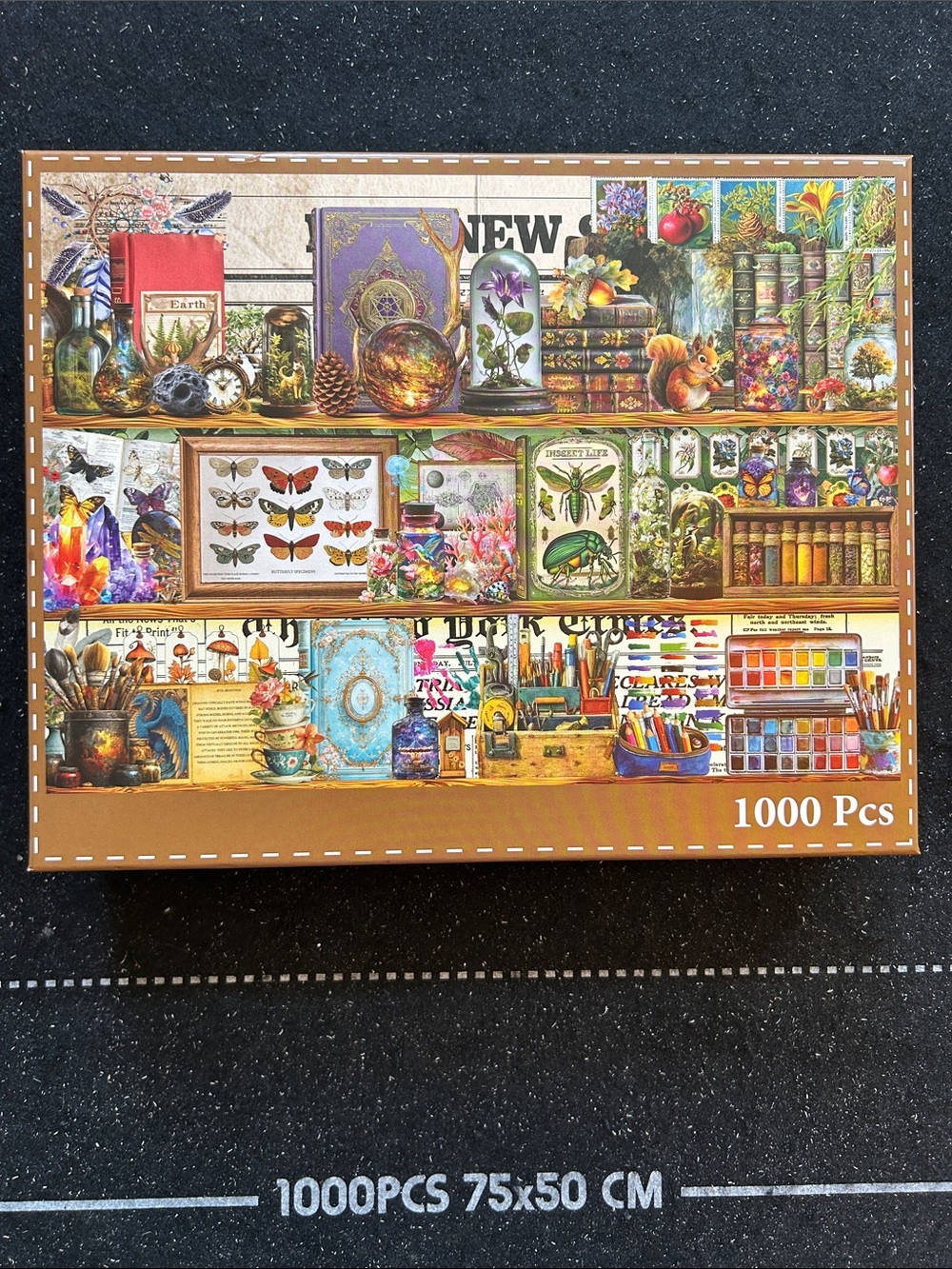 1000-Piece Colorful Curiosity Shelf Jigsaw Puzzle - Multicolor